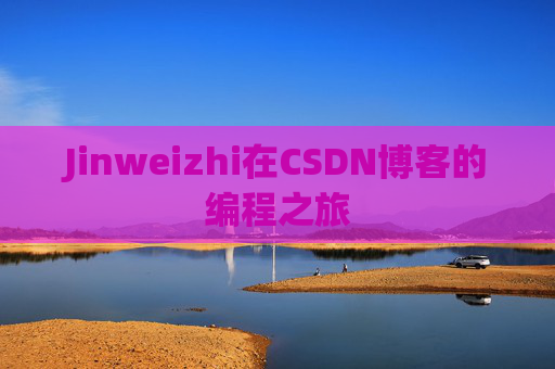 Jinweizhi在CSDN博客的编程之旅